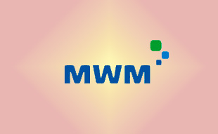 ✓ MWM 0400 0904 Запчасть MWM 